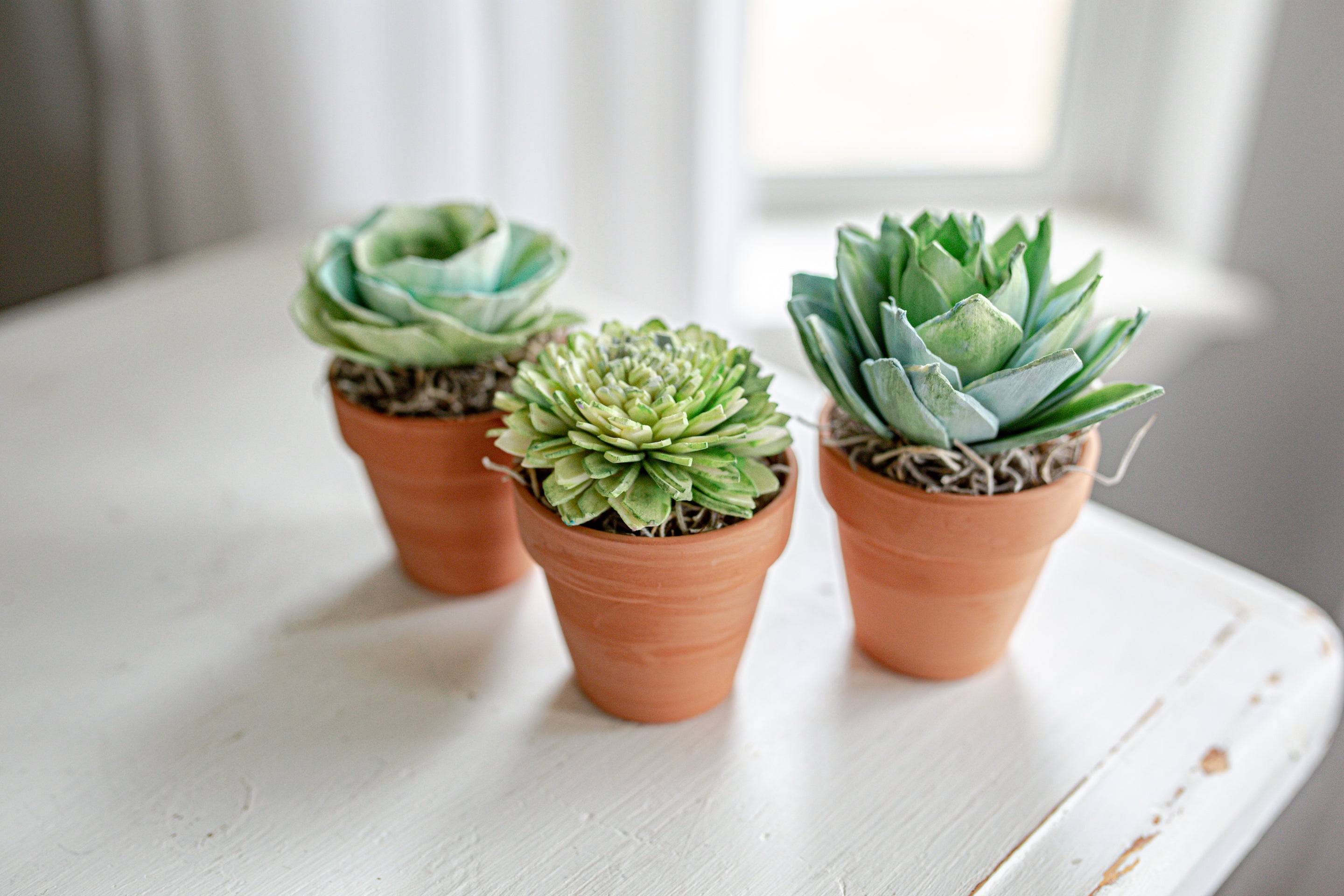 small flower pots for succulents Single Wood Flower Succulent Terra-cotta Pot